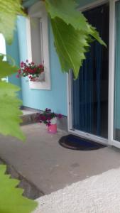 Fotografia z galérie ubytovania HOLIDAY HOME NORA**** Loznati Cres v destinácii Loznati