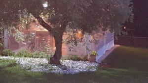 Zahrada ubytování FalcoBianco GuestHouse