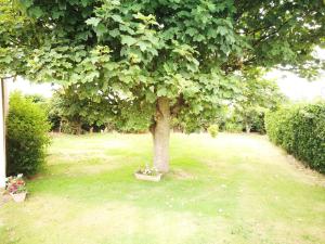Giardino di Danubio Guest Accommodation