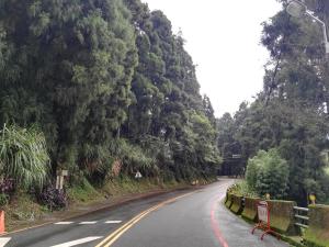 an empty road with trees on either side of it at Qun Feng Hotel in Fenqihu