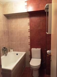 a bathroom with a toilet and a bath tub at Sofia Apartment in Ohrid