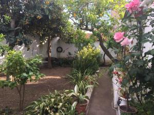 レゲンゴス・デ・モンサラーシュにあるCasa Dª Anaの花々と木々の庭園