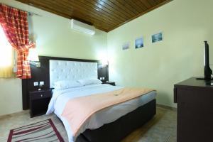 a bedroom with a large bed in a room at Haus Platanos Apartments & Bungalows by the Sea in Vourvourou