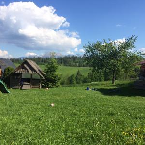 a field of green grass with a house and a tree at Pokoje u Staszka in Bukowina Tatrzańska