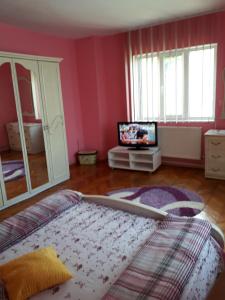Schlafzimmer mit rosa Wänden, einem Bett und einem TV in der Unterkunft Casa Ade in Călimăneşti