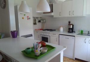 uma cozinha com uma bandeja verde no balcão em Residenza Agapanthus em Monvalle