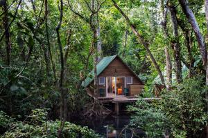 a tiny house in the middle of the forest at Hotel Hacienda Tijax Jungle Logde in Rio Dulce