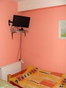 フルボカー・ナト・ヴルタヴォウにあるApartmán Polní 930のベッドルーム1室(壁にテレビ付)、ベッド1台が備わります。