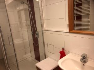 ein Badezimmer mit Dusche und Waschbecken in der Unterkunft Ferienwohnung Rose in Villingen-Schwenningen + 7 Fotos