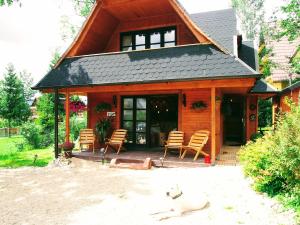 una casa con un porche con sillas y un perro en Dziko Hanka, en Kościelisko
