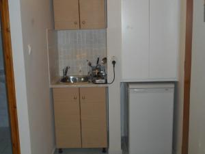 Kuchyň nebo kuchyňský kout v ubytování ntinas house