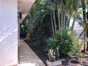 a garden with palm trees and a walkway at Casa Aconchego Fóz in Foz do Iguaçu