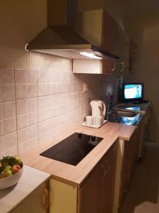 Η κουζίνα ή μικρή κουζίνα στο Apartman Ivana