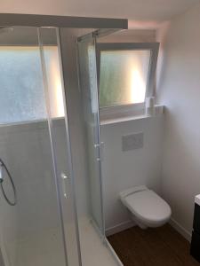 a bathroom with a shower and a toilet at Les Oyats in Camiers +27 photos