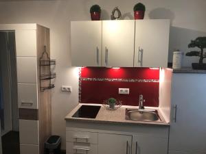 a kitchen with a sink and a red wall at Studio Typ-Apartment "La Marie" in Schwäbisch Gmünd