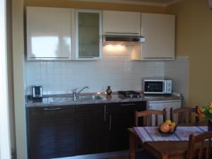 Kuchyň nebo kuchyňský kout v ubytování Guesthouse Villa AnnaDora