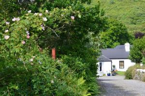 Gallery image of Kilcommon Lodge Holiday Hostel in Belmullet