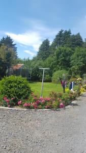 a garden with pink flowers and a street light at Tulla Villa Self Catering in Riverstown