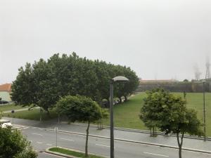 an empty street with trees and a street light at Valentim House in Viana do Castelo
