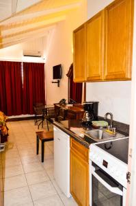a kitchen with a sink and a stove top oven at Fantastic Hotel in Marigot