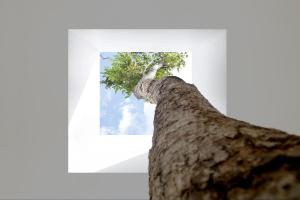 Foto dalla galleria di The Library a Chaweng Beach