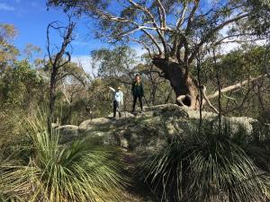 two people standing on a rock in a forest at bluebird cottage in Angaston