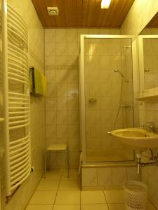 a bathroom with a shower and a sink at Hotel & Gasthof Garküche in Leutenberg