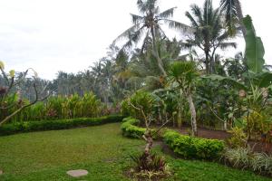 Zahrada ubytování Buda Cottage Ubud