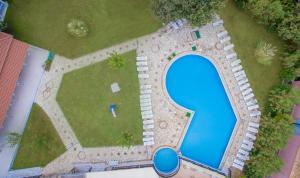 Bazén v ubytování Hotel Palmyra nebo v jeho okolí