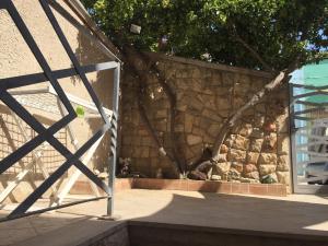 Fotografie z fotogalerie ubytování Casa Lara v destinaci San Pietro in Bevagna