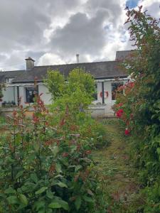 a white house with flowers in front of it at Ker Hazhou in Hédé