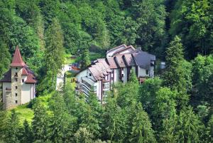 a group of buildings in the middle of a forest at Hotel Dobru in Slănic-Moldova