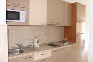 Küche/Küchenzeile in der Unterkunft Vila Apartment