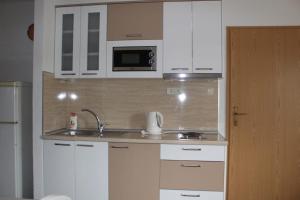 Küche/Küchenzeile in der Unterkunft Vila Apartment
