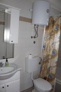 Ein Badezimmer in der Unterkunft Vila Apartment