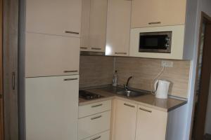 Küche/Küchenzeile in der Unterkunft Vila Apartment