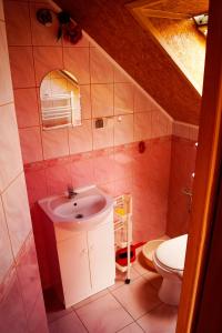 a bathroom with a sink and a toilet at Zefirek in Stegna