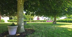 Zahrada ubytování Le Gite de l'Etrier + 7 fotografií