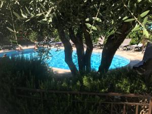 a swimming pool with a tree and some chairs at Logis Hotel Restaurant Hostellerie de la Tour in Fontvieille