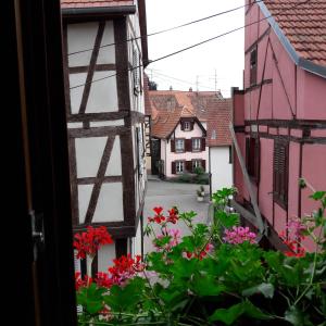 ブーウィラーにあるComme une tour dans le centre Historiqueの花の街の窓からの眺め