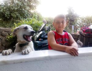 un niño y un perro mirando sobre una cornisa en Ekolojik Güney Köy Pembe Köşk, en Balçıklı