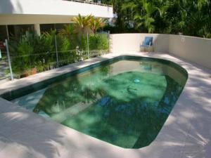 una piscina con agua verde en un patio trasero en Cove Point, en Noosa Heads