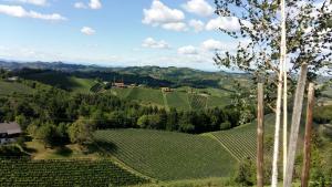 an aerial view of a vineyard in the hills at Titscherhof in Leutschach