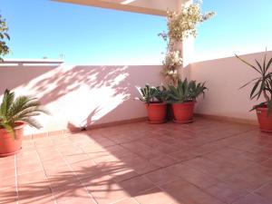 un patio con macetas en la pared en Ático con solarium en El Campello, en El Campello