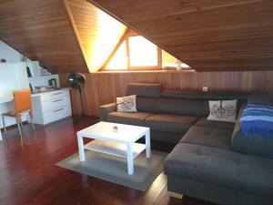 uma sala de estar com um sofá e uma mesa em Apartment Countryside Kolpa-Bela krajina em Metlika