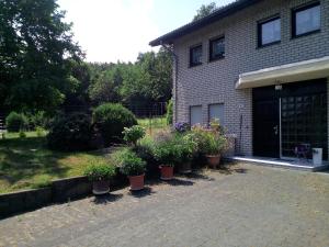 a group of potted plants in front of a building at Appartement Willmeroth in Königswinter
