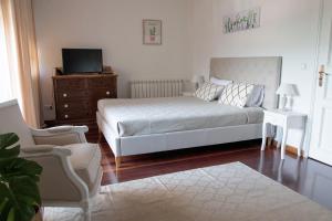 1 dormitorio con 1 cama, TV y silla en The Rooftop Suites en Peso da Régua