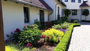 Zahrada ubytování Hotel Godewind