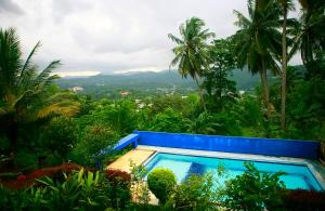 een zwembad midden in een jungle bij The Change Hotel in Kandy