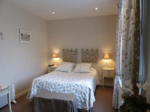 a bedroom with a bed and two tables and two lamps at Les Amandines in Chisseaux